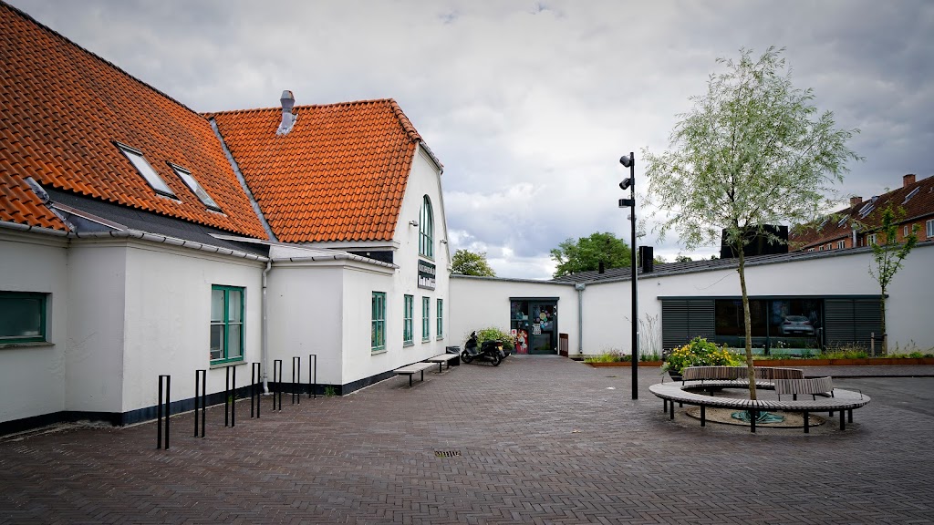 malov-bibliotek-5.jpeg