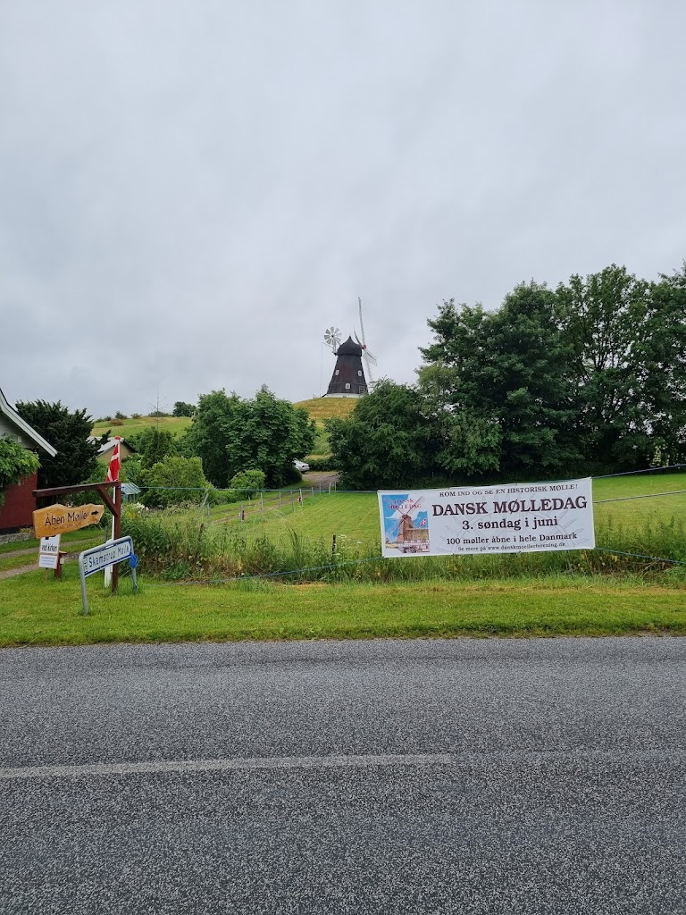 skamstrup-molle-13.jpeg
