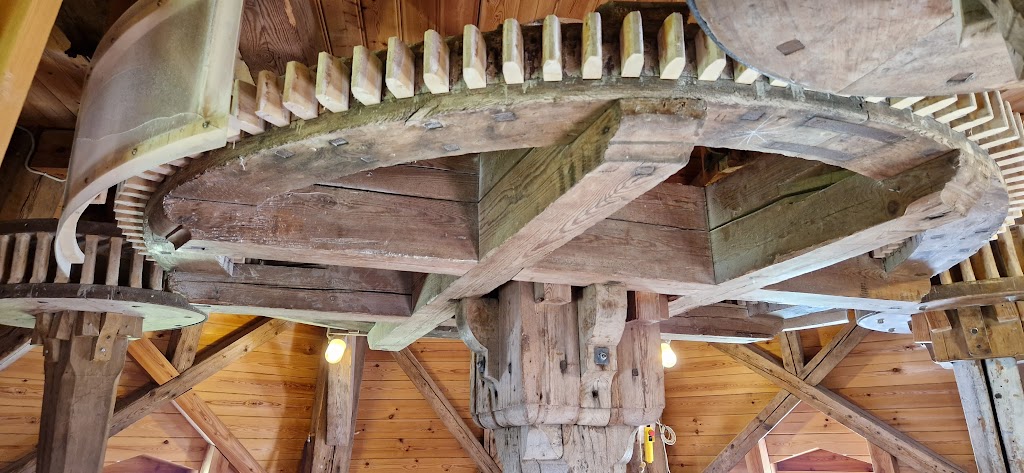 skamstrup-molle-16.jpeg