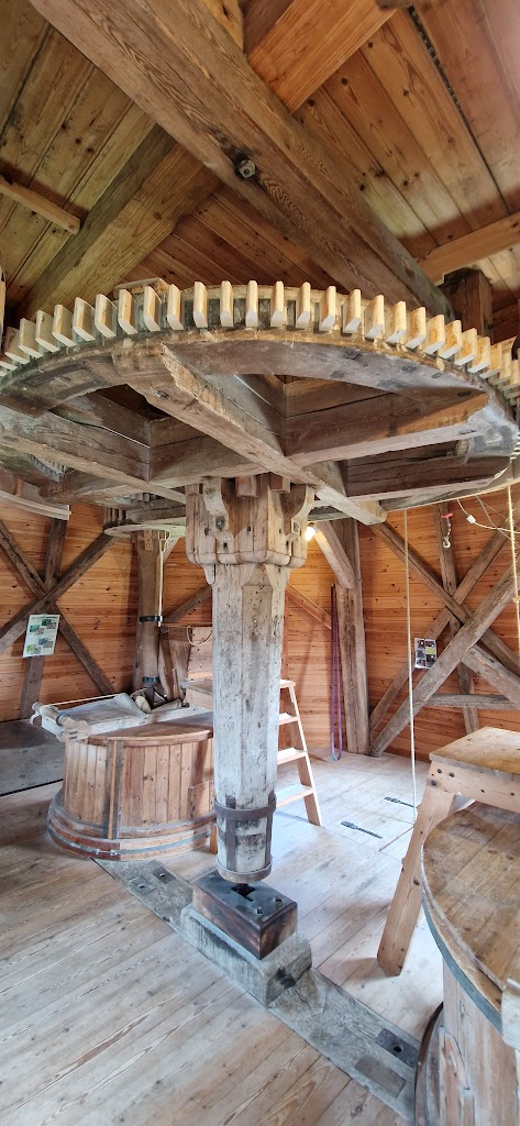 skamstrup-molle-18.jpeg