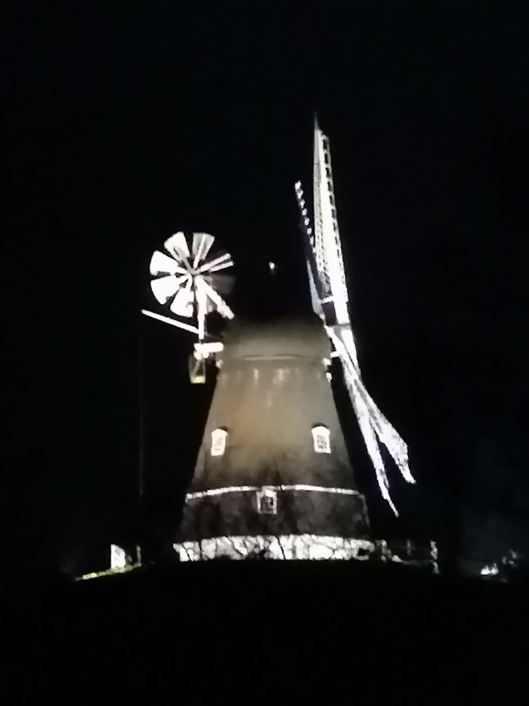 skamstrup-molle-3.jpeg