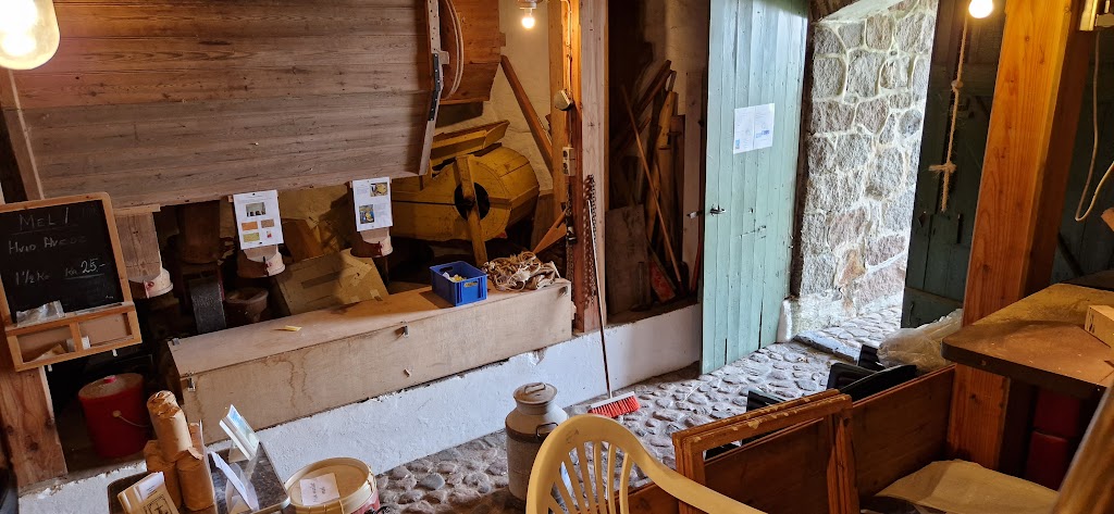 skamstrup-molle-8.jpeg
