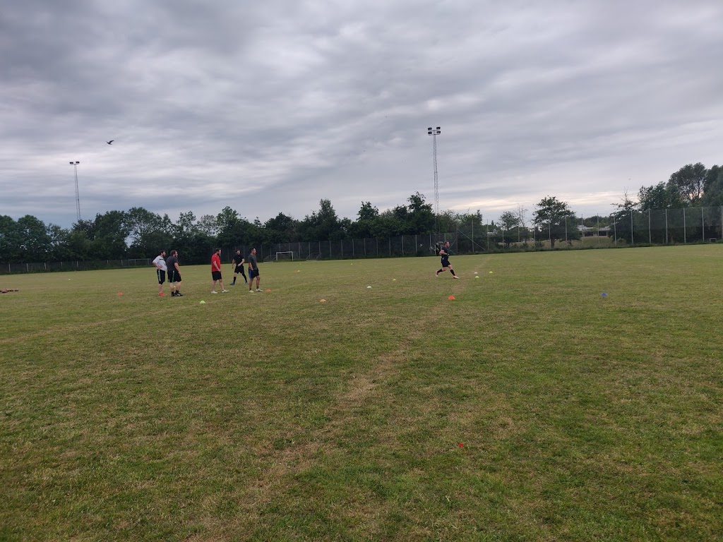 naestved-vikings-3.jpeg