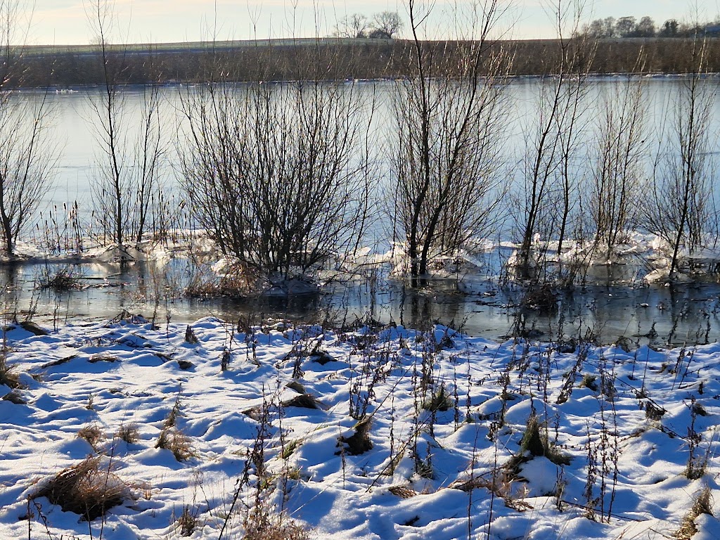 ronnebaek-soskov-12.jpeg