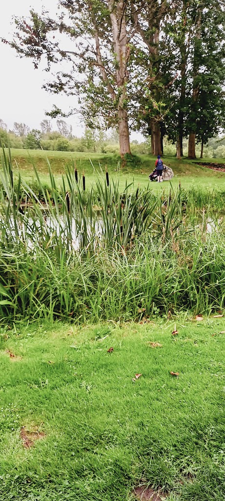 sydsjaellands-golfklub-16.jpeg