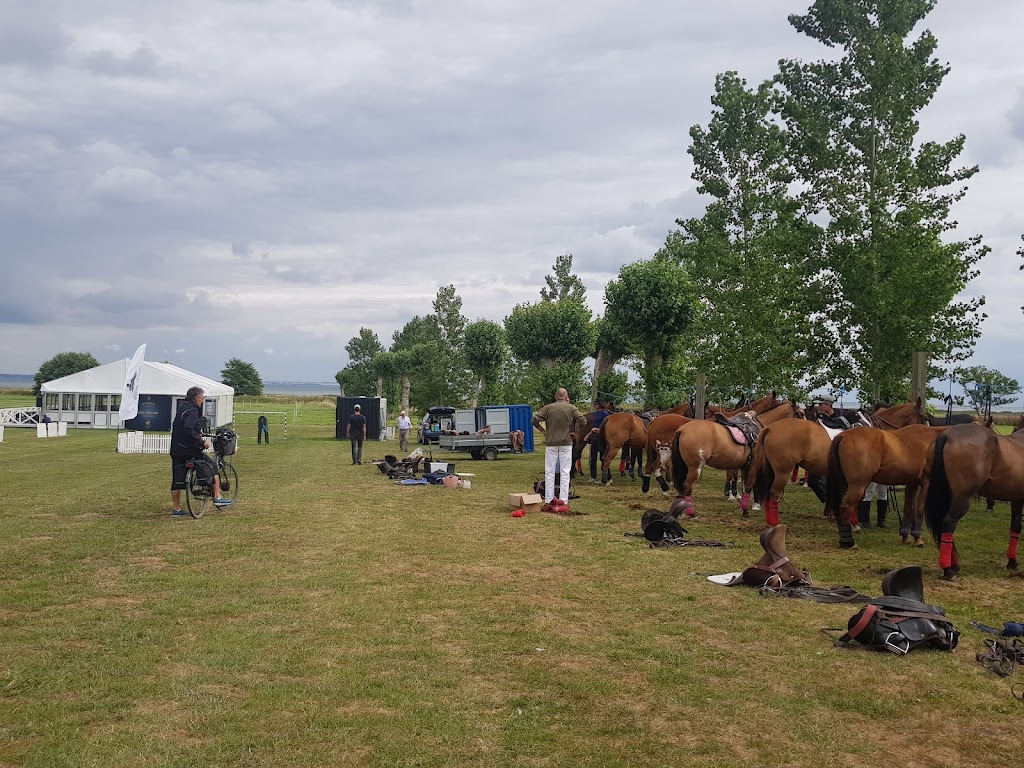 copenhagen-polo-club-15.jpeg