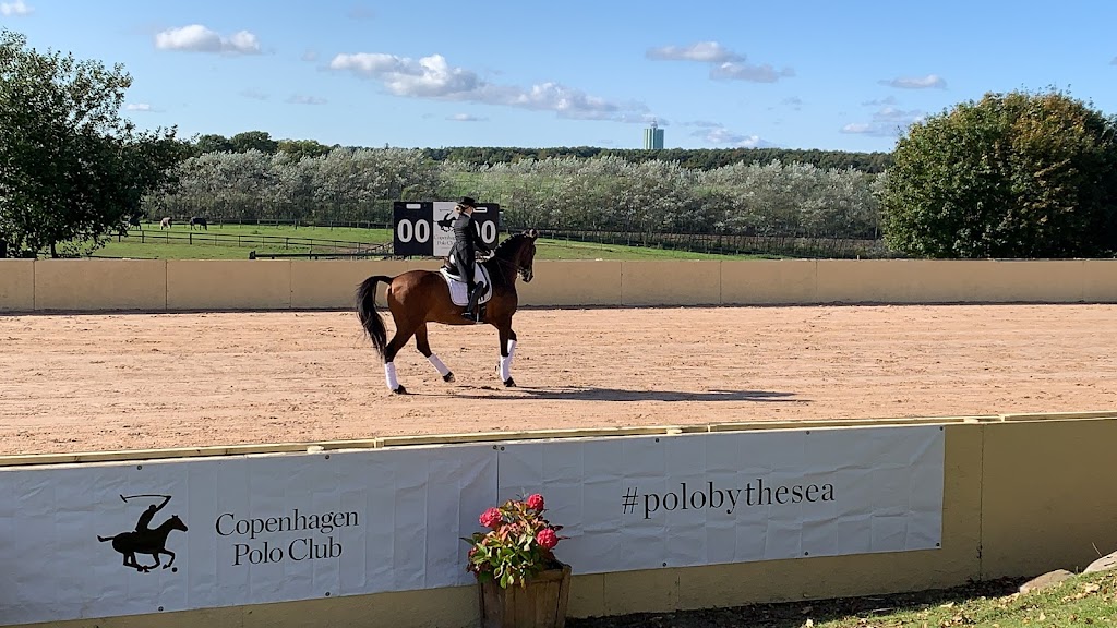 copenhagen-polo-club-4.jpeg