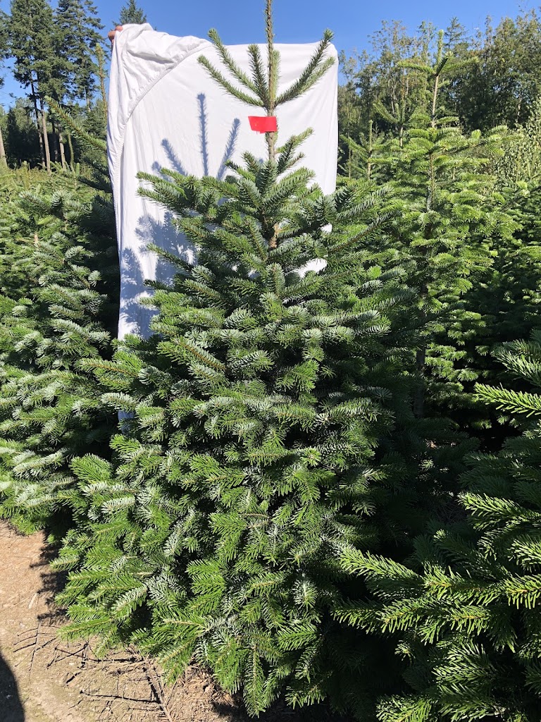 juletraeer-2.jpeg