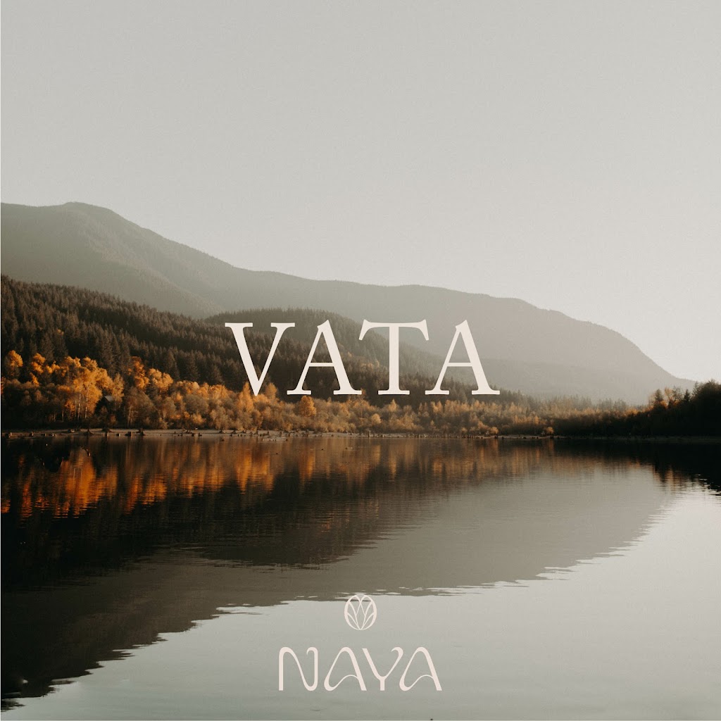naya-nordic-ayurveda-yoga-academy-3.jpeg