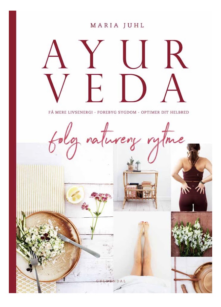naya-nordic-ayurveda-yoga-academy-5.jpeg