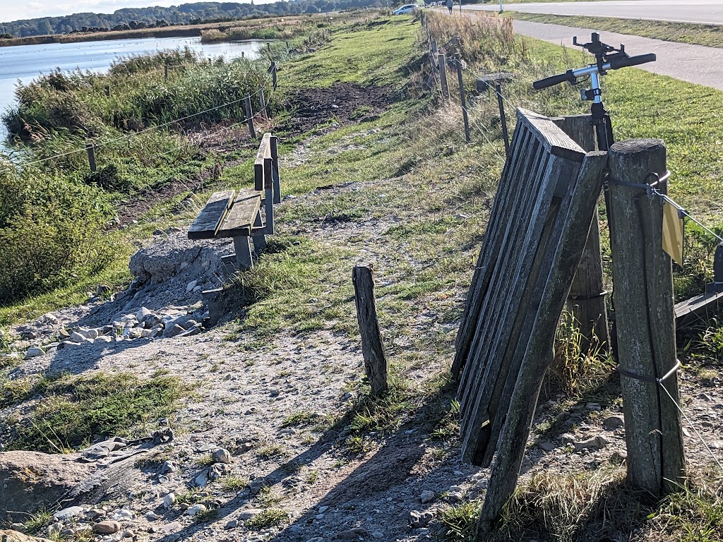 nivastrand-1.jpeg
