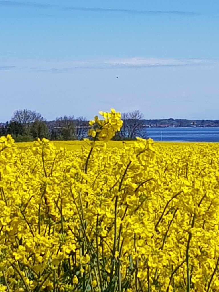 odsherred-camping-nordstrand-11.jpeg