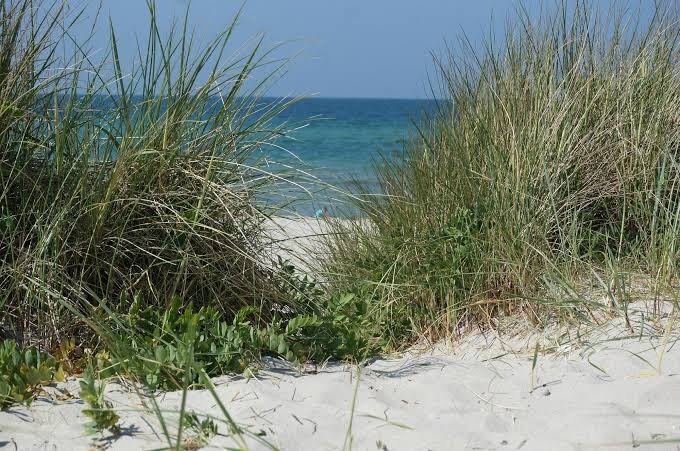 odsherred-camping-nordstrand-6.jpeg