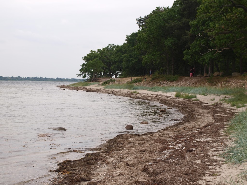 parkering-ved-strand-15.jpeg