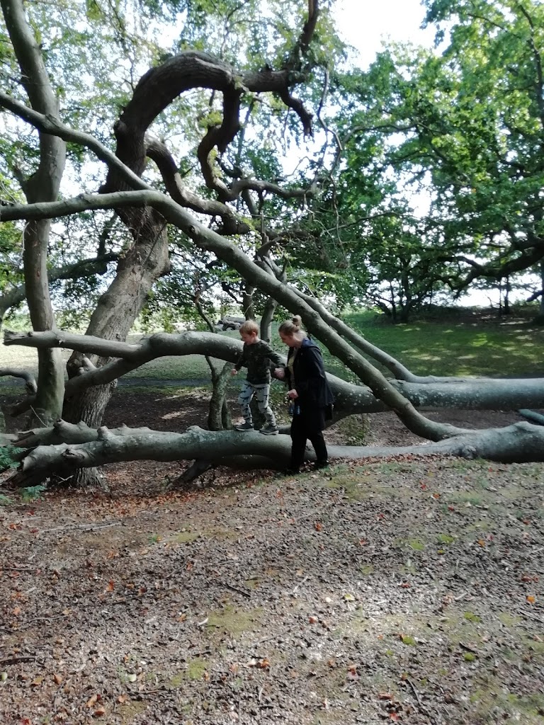 parkering-ved-strand-3.jpeg