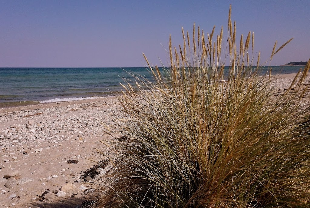 sonnerup-strand-6.jpeg