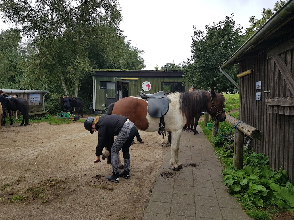 stokkebjerg-naturridning-0.jpeg