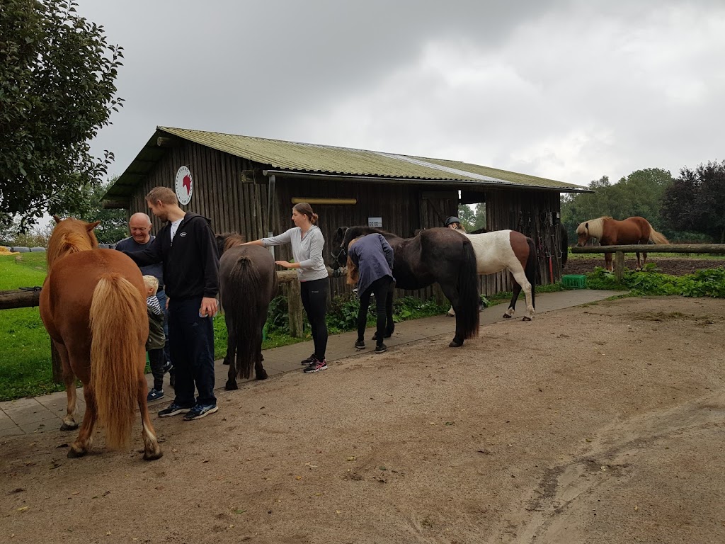 stokkebjerg-naturridning-15.jpeg