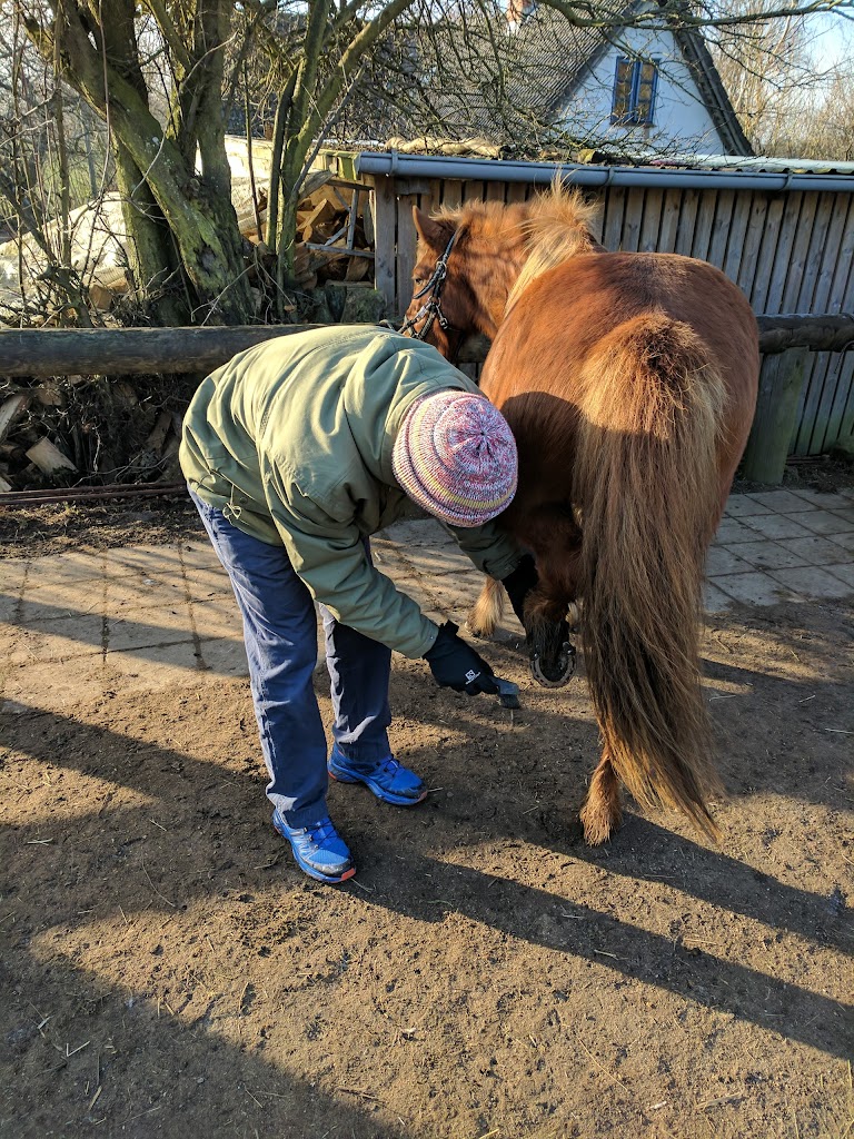 stokkebjerg-naturridning-7.jpeg