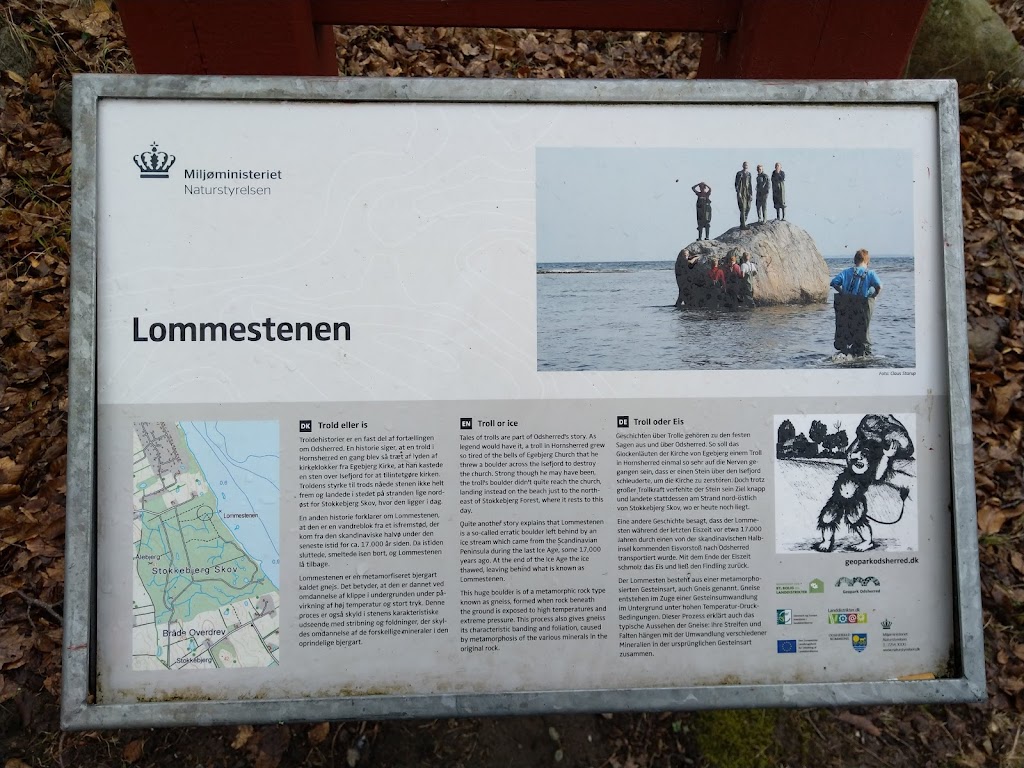 stokkebjergskov-8.jpeg