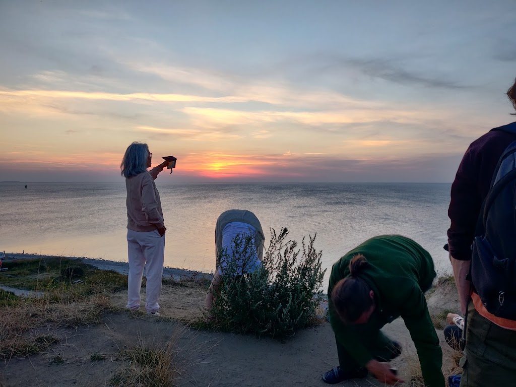 terrassen-martinus-center-14.jpeg