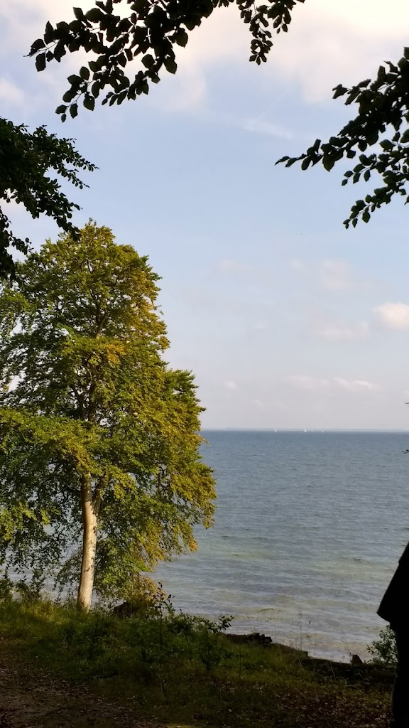 tingstedet-langdysse-1.jpeg