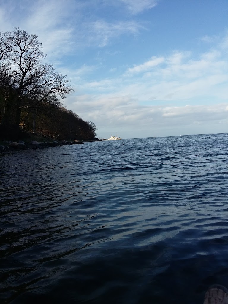 tingstedet-langdysse-2.jpeg