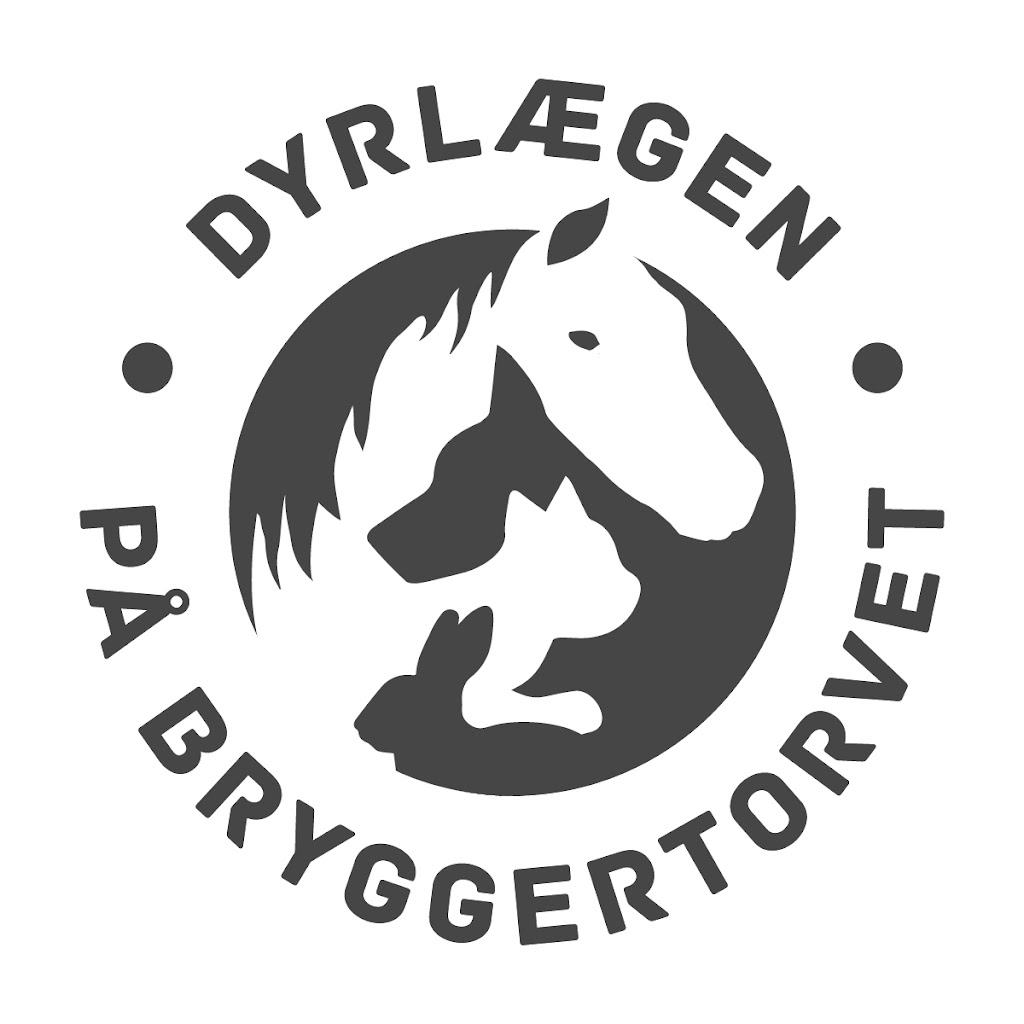 dyrlaegen-pa-bryggertorvet-18.jpeg