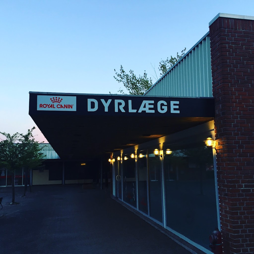 dyrlaegen-pa-bryggertorvet-8.jpeg
