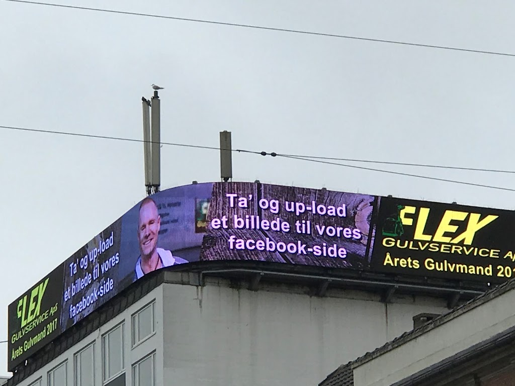 flex-gulvservice-3.jpeg