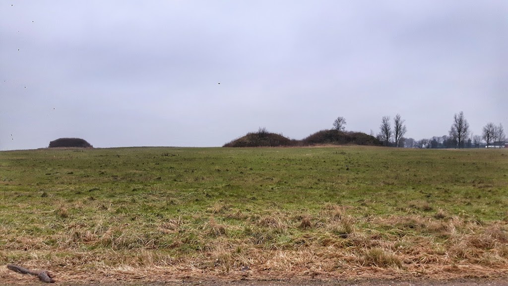 langdysse-ved-olstykke-5.jpeg