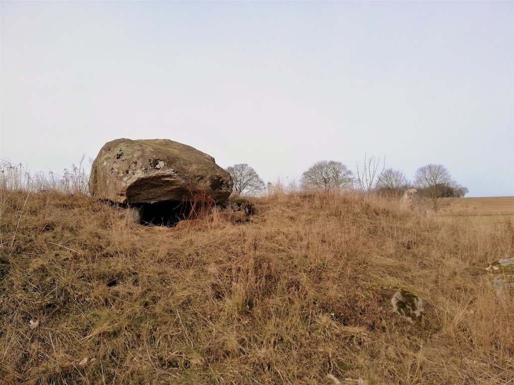 nordlige-dodning-langdysse-0.jpeg
