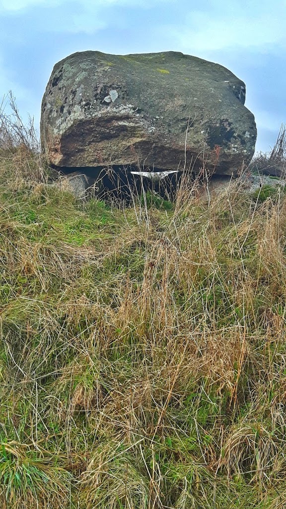 nordlige-dodning-langdysse-3.jpeg
