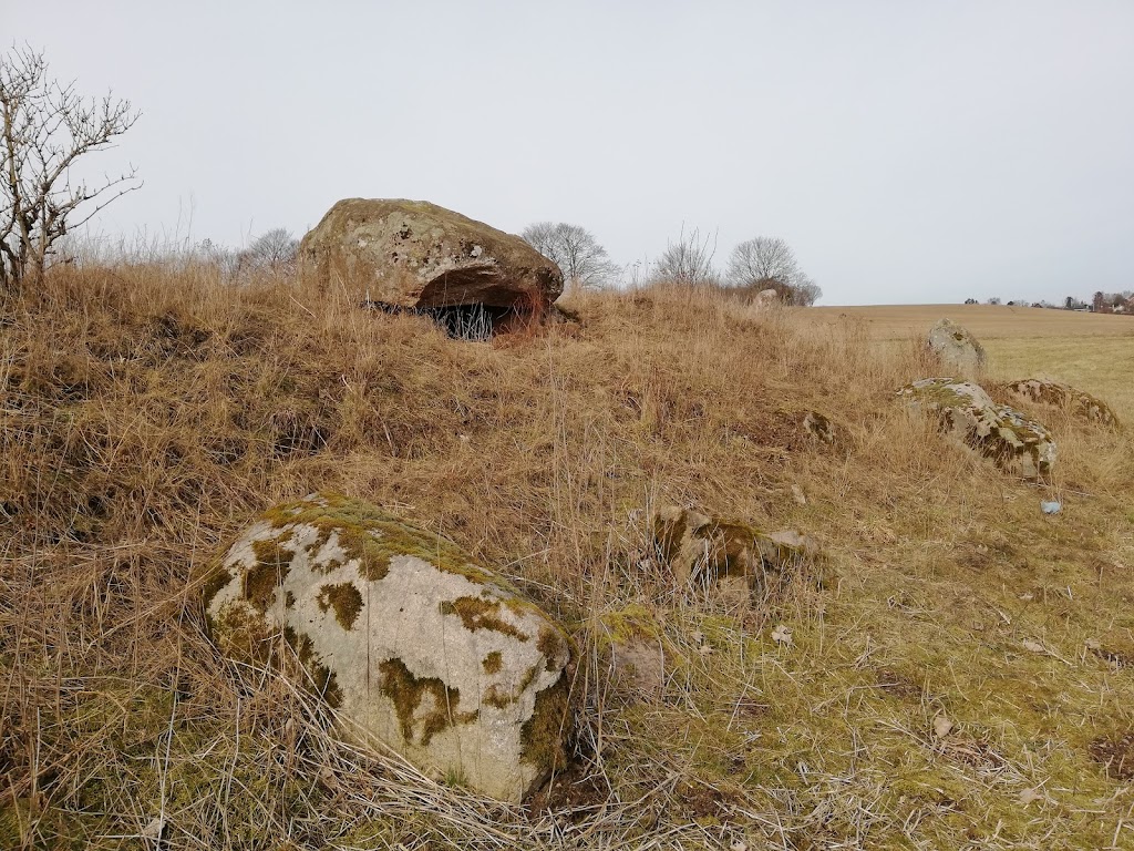 nordlige-dodning-langdysse-7.jpeg