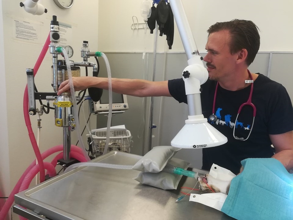 olstykke-dyreklinik-v-carsten-mortensen-9.jpeg