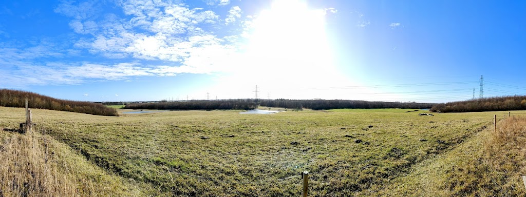 sperrestrup-skov-10.jpeg