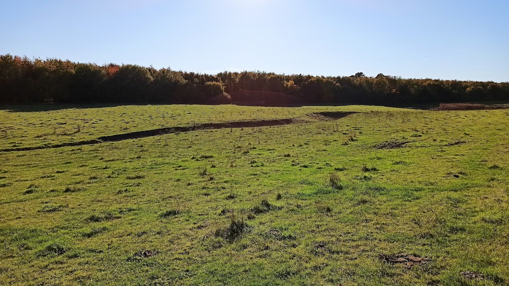 sperrestrup-skov-11.jpeg