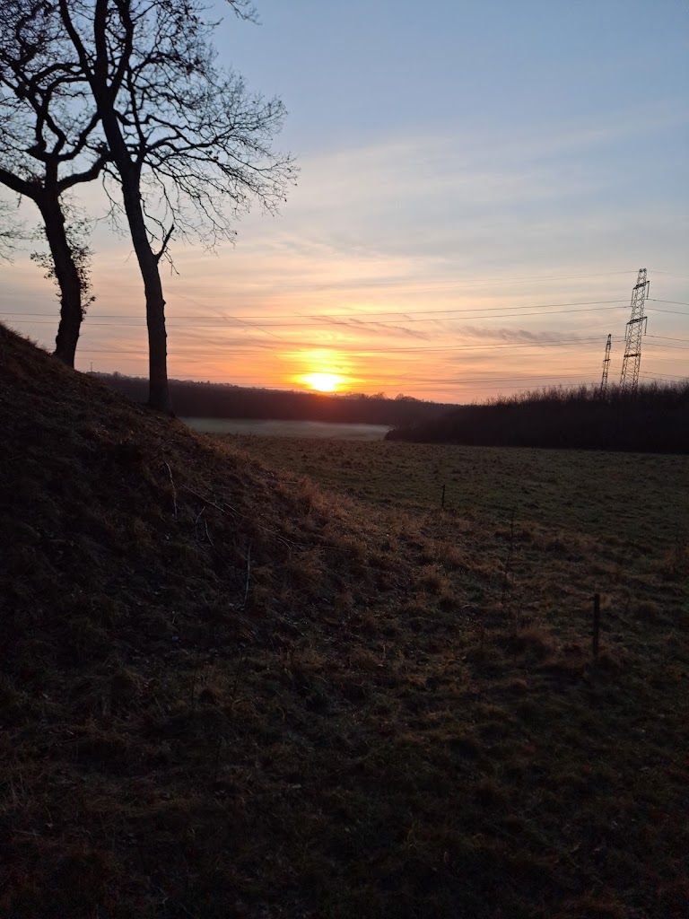 sperrestrup-skov-5.jpeg