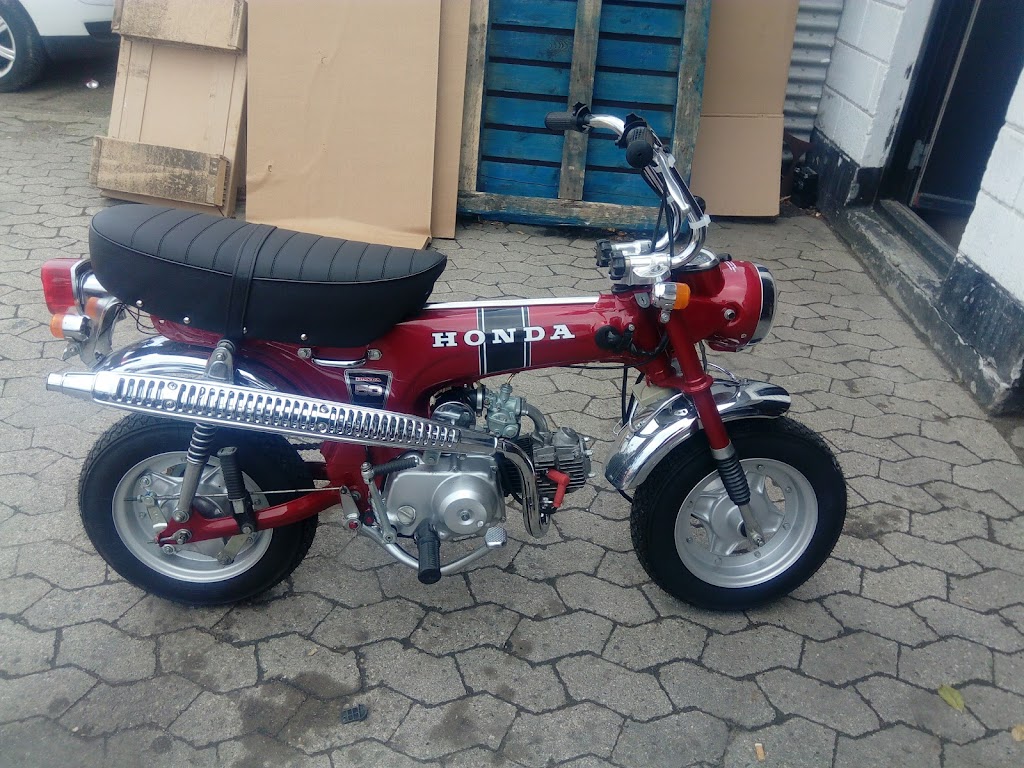 daxshop-dk-6.jpeg