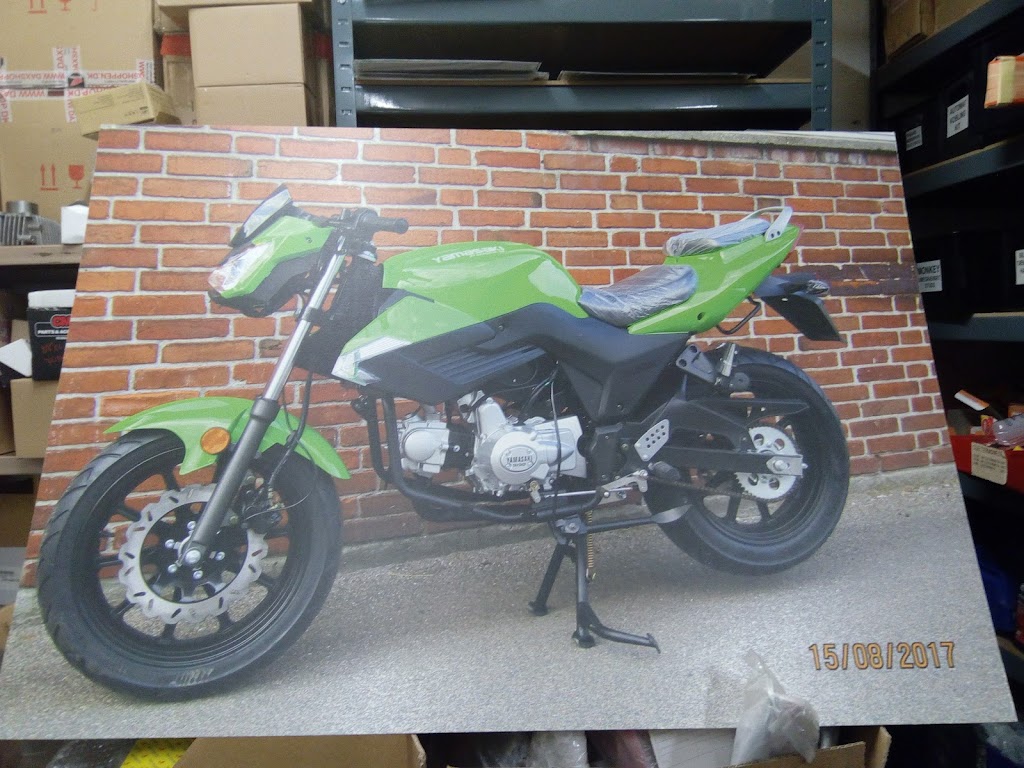 daxshop-dk-7.jpeg