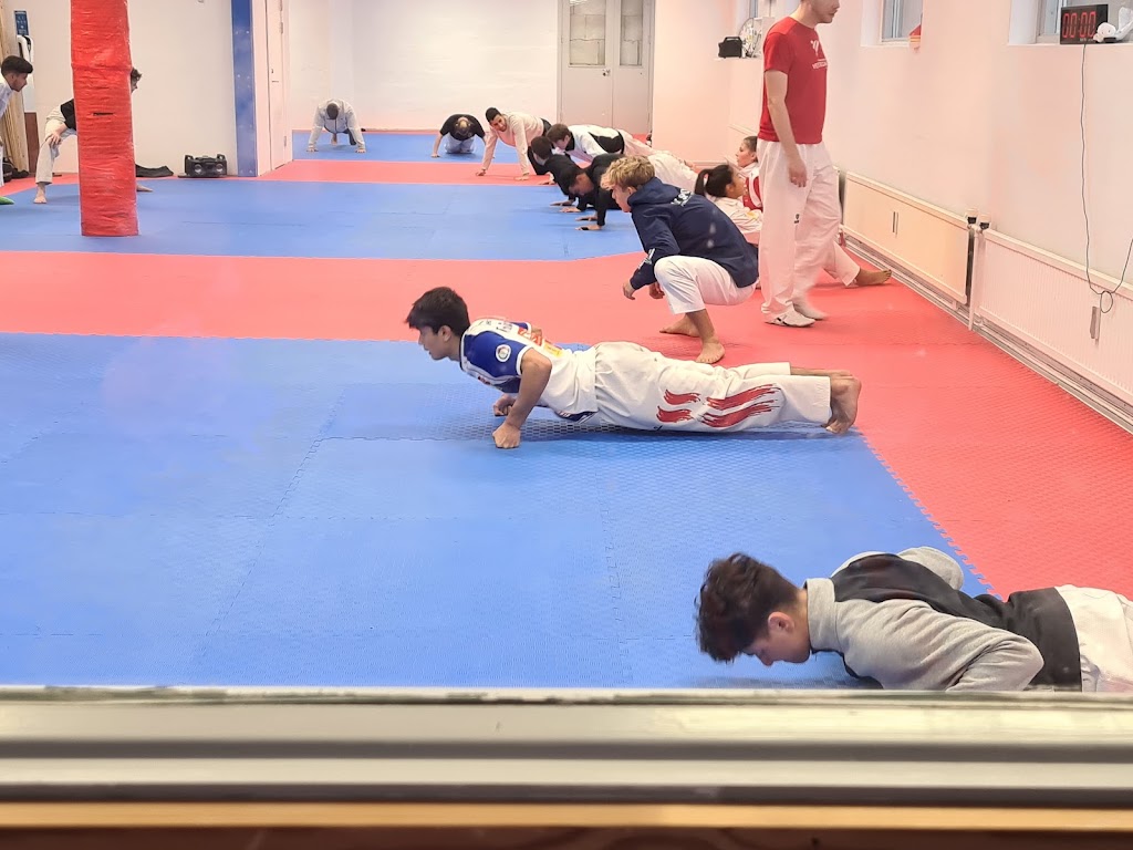 hwarang-taekwondo-klub-rodovre-8.jpeg