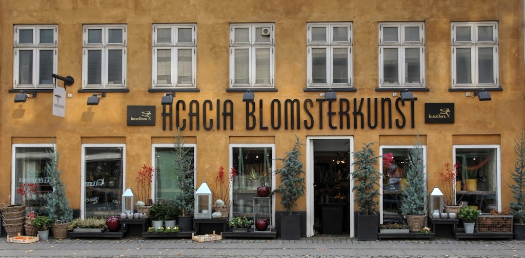 acacia-blomsterkunst-1.jpeg