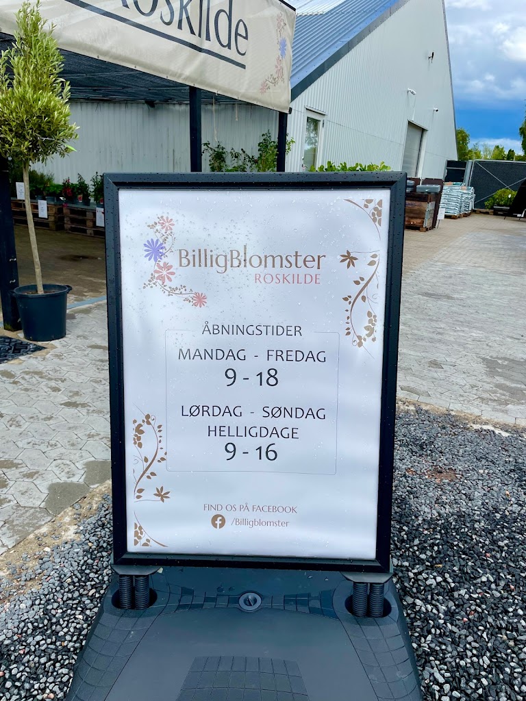 billigblomster-roskilde-13.jpeg