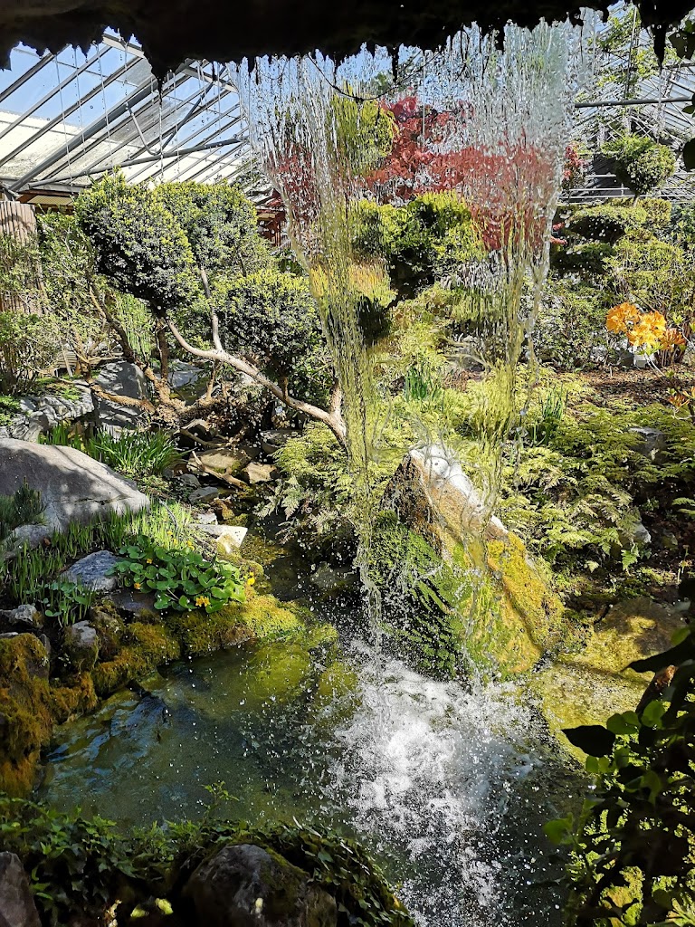 billigblomster-roskilde-5.jpeg