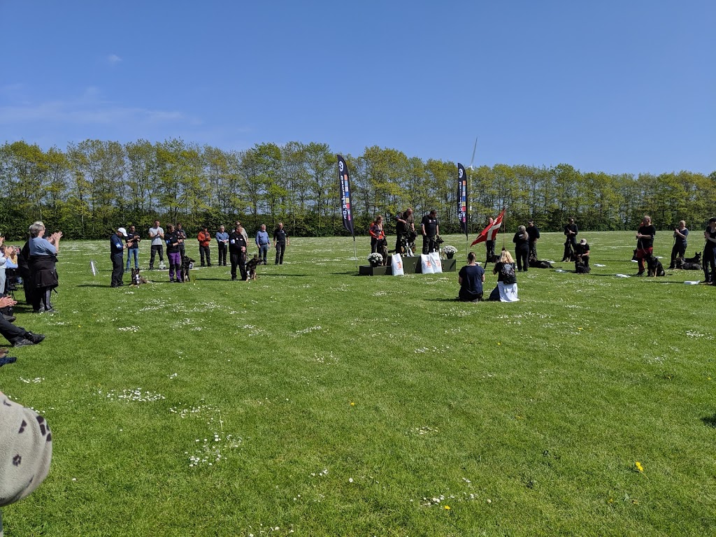 bk-red-star-roskilde-17.jpeg