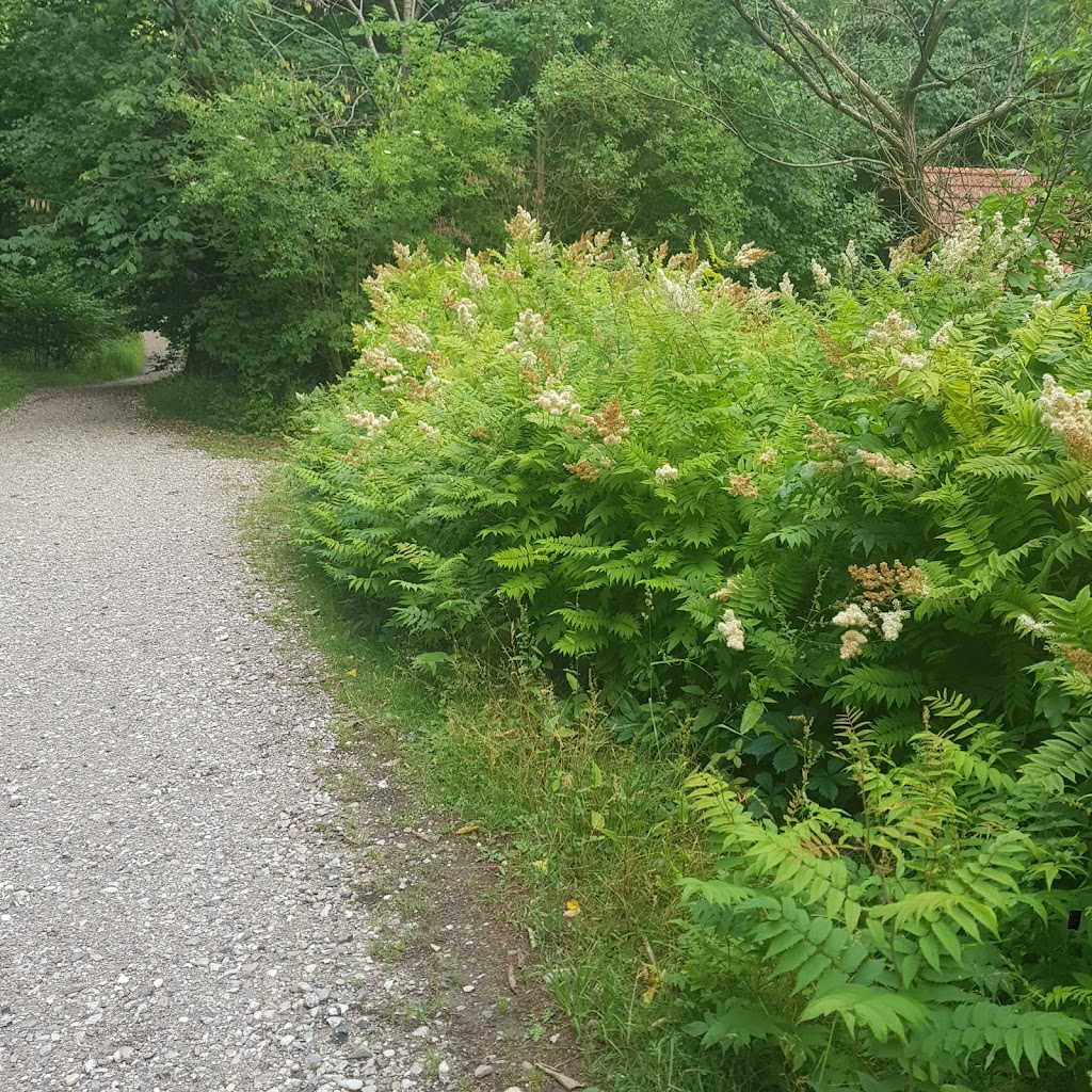 boserup-mtb-spor-0.jpeg