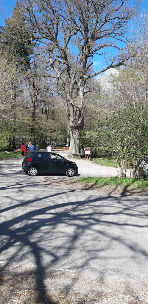 boserup-mtb-spor-4.jpeg