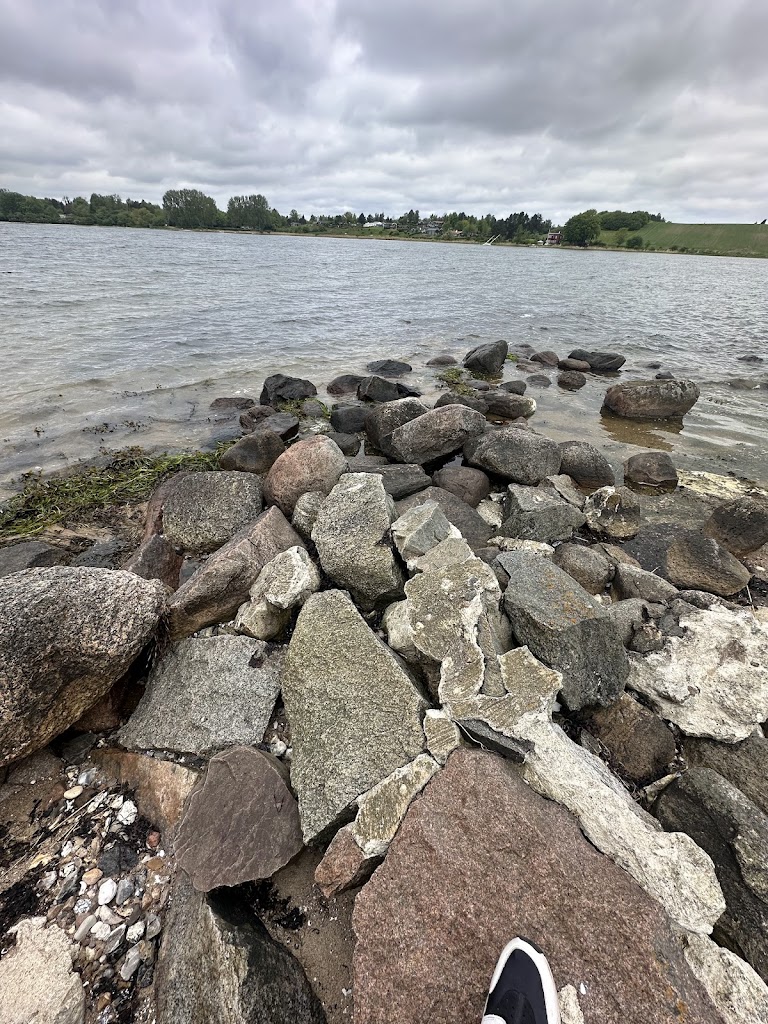 boserup-skov-midgardsormen-10.jpeg