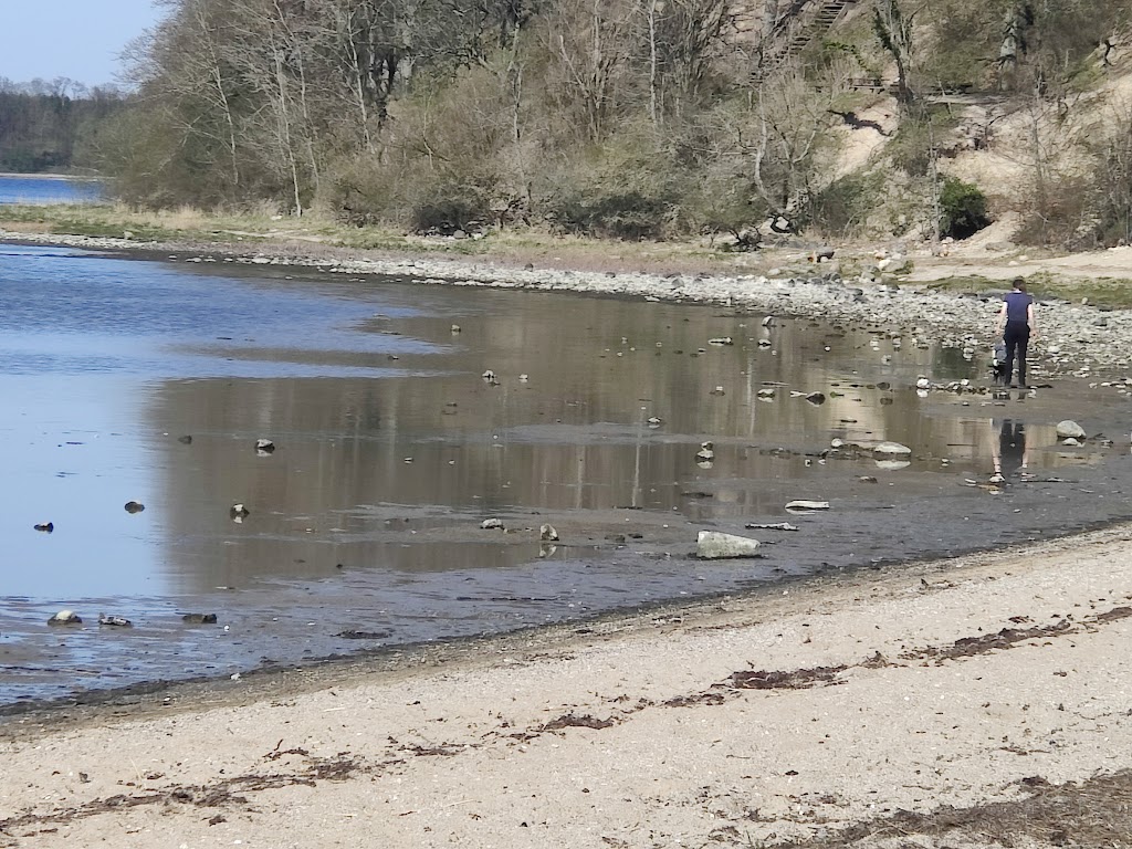 boserup-skov-midgardsormen-17.jpeg
