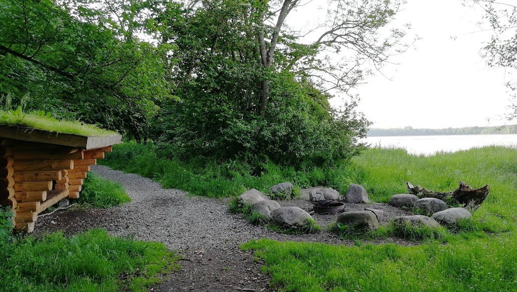 boserup-skov-midgardsormen-18.jpeg